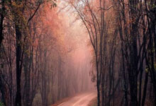 pg模拟器官网：四强就位，德约100冠在望贝雷救6赛点徒劳，萨巴进决赛积分破万.