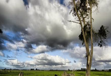 2025“兵甲球杆”杯大学生中式台球公开赛.