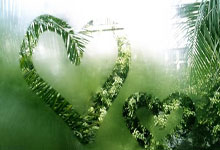 德天空：若法兰克福获得欧冠资格，他们可能只需出售一名球星.