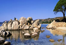 父亲：小基耶萨在利物浦非常开心；不后悔他去英格兰踢球.